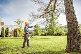 Leaf Removal in South Venice, FL